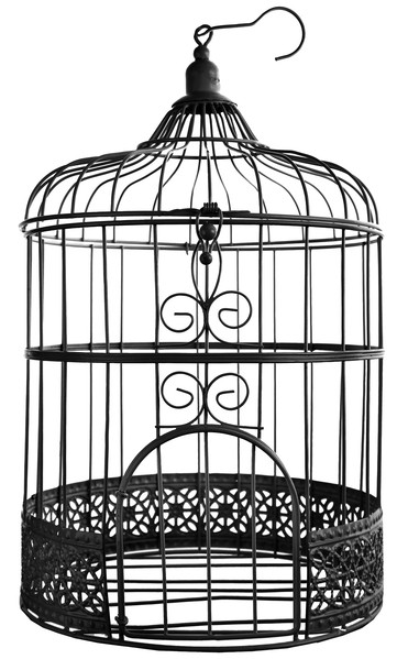 Urne Cage Oiseau Noire