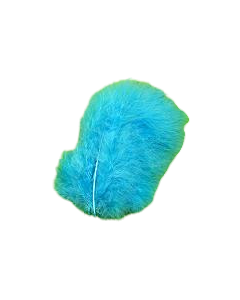 Plumes turquoises x20