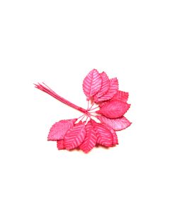 Feuilles sur tige - Fuchsia