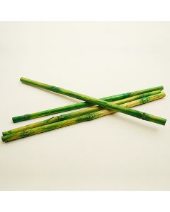 Batons de bambou vert anis